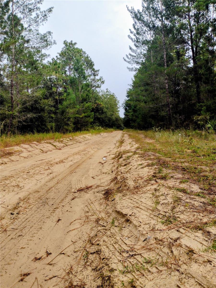 COLLEGE PARK ESTATES - Land