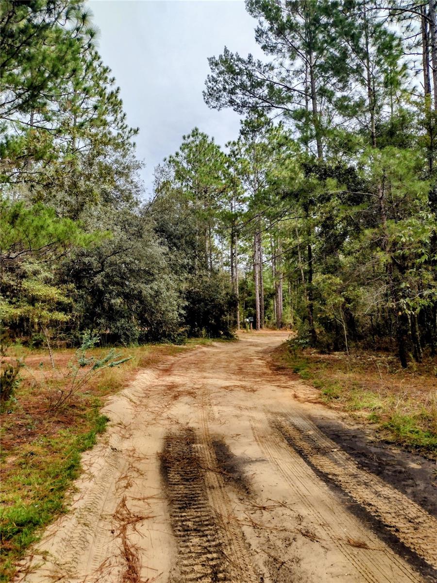 COLLEGE PARK ESTATES - Land