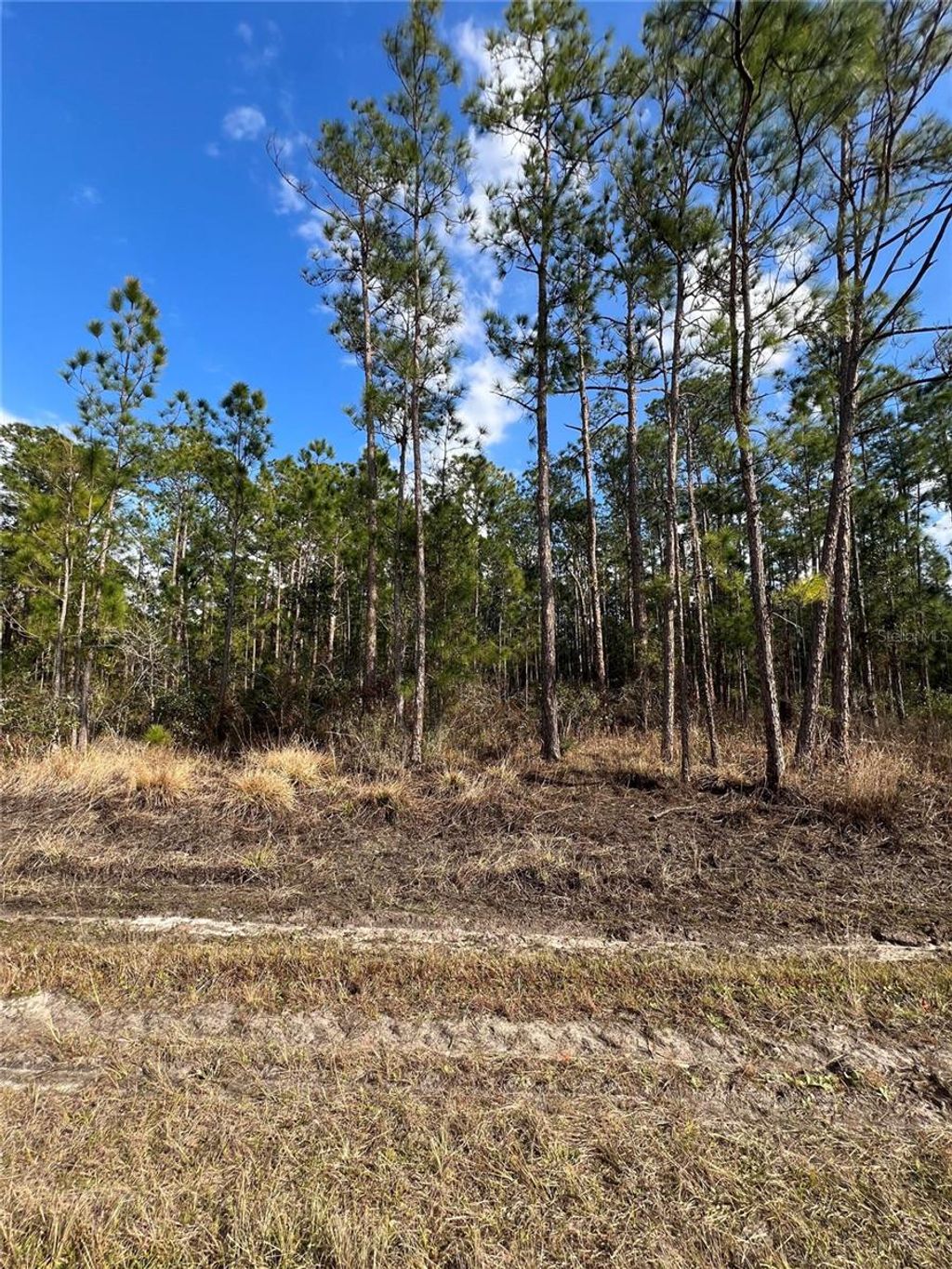 Photo of 6660 Balboa Boulevard, Sebring, FL 33872 (MLS # O6381488)