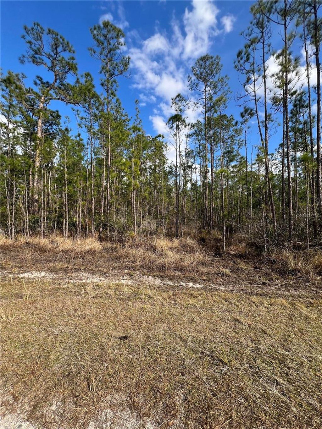 Photo of 6660 Balboa Boulevard, Sebring, FL 33872 (MLS # O6381488)