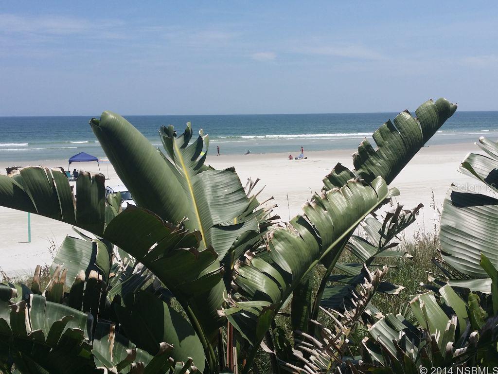 Palm House Condo - Residential