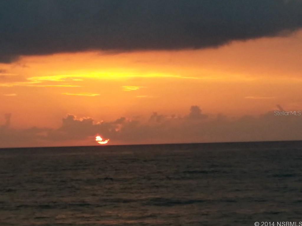 Palm House Condo - Residential