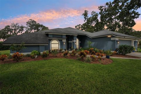 A home in PLANT CITY