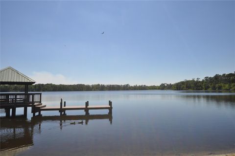 A home in PLANT CITY