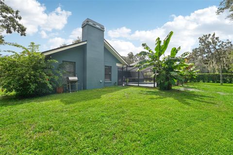 A home in PLANT CITY