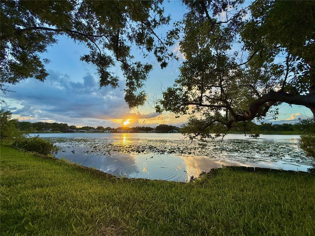 Photo of 8304 Palma Vista Lane, Tampa, FL 33614 (MLS # TB8409030)