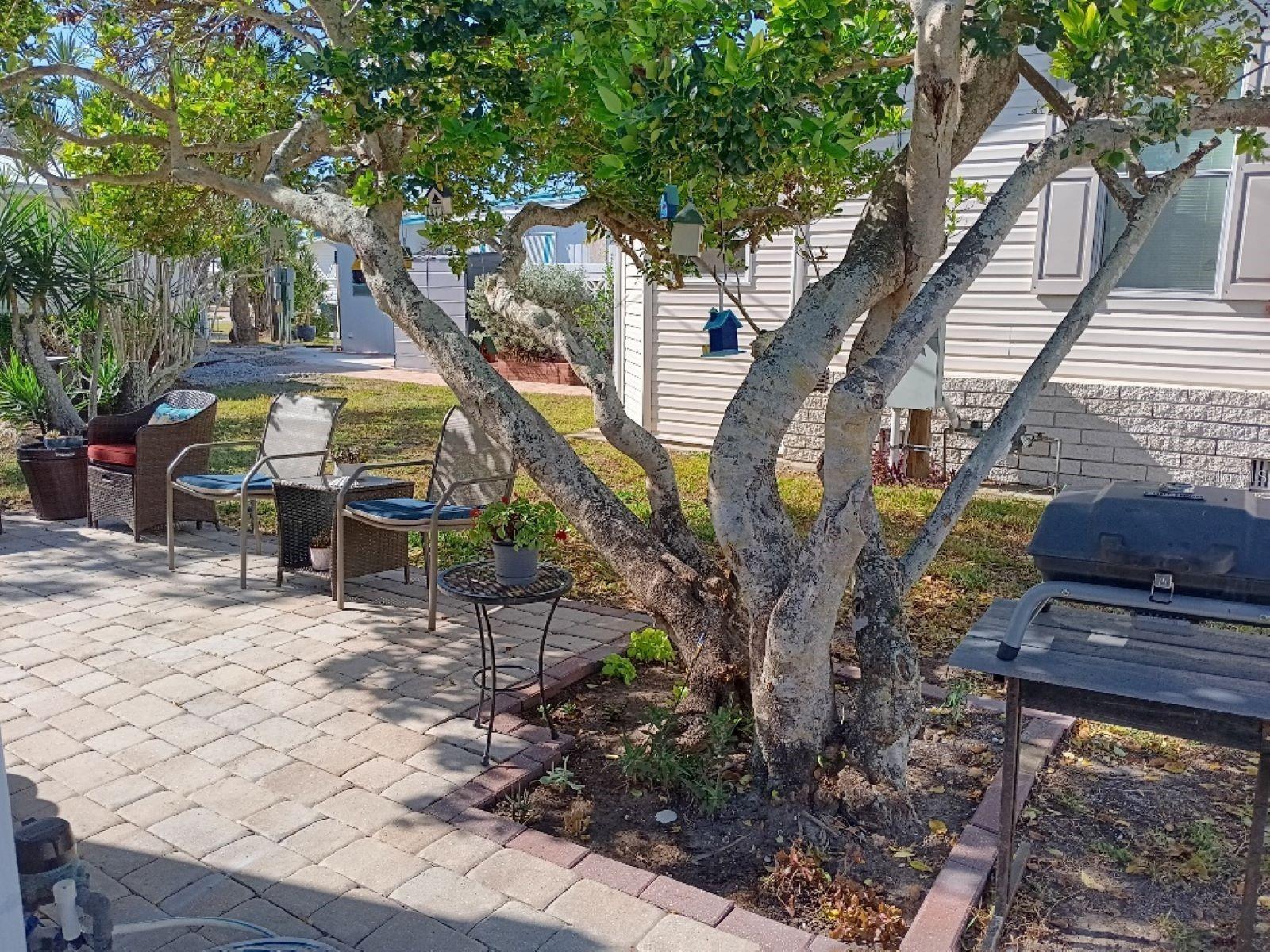 COUNTRY CLUB ESTATES - Residential