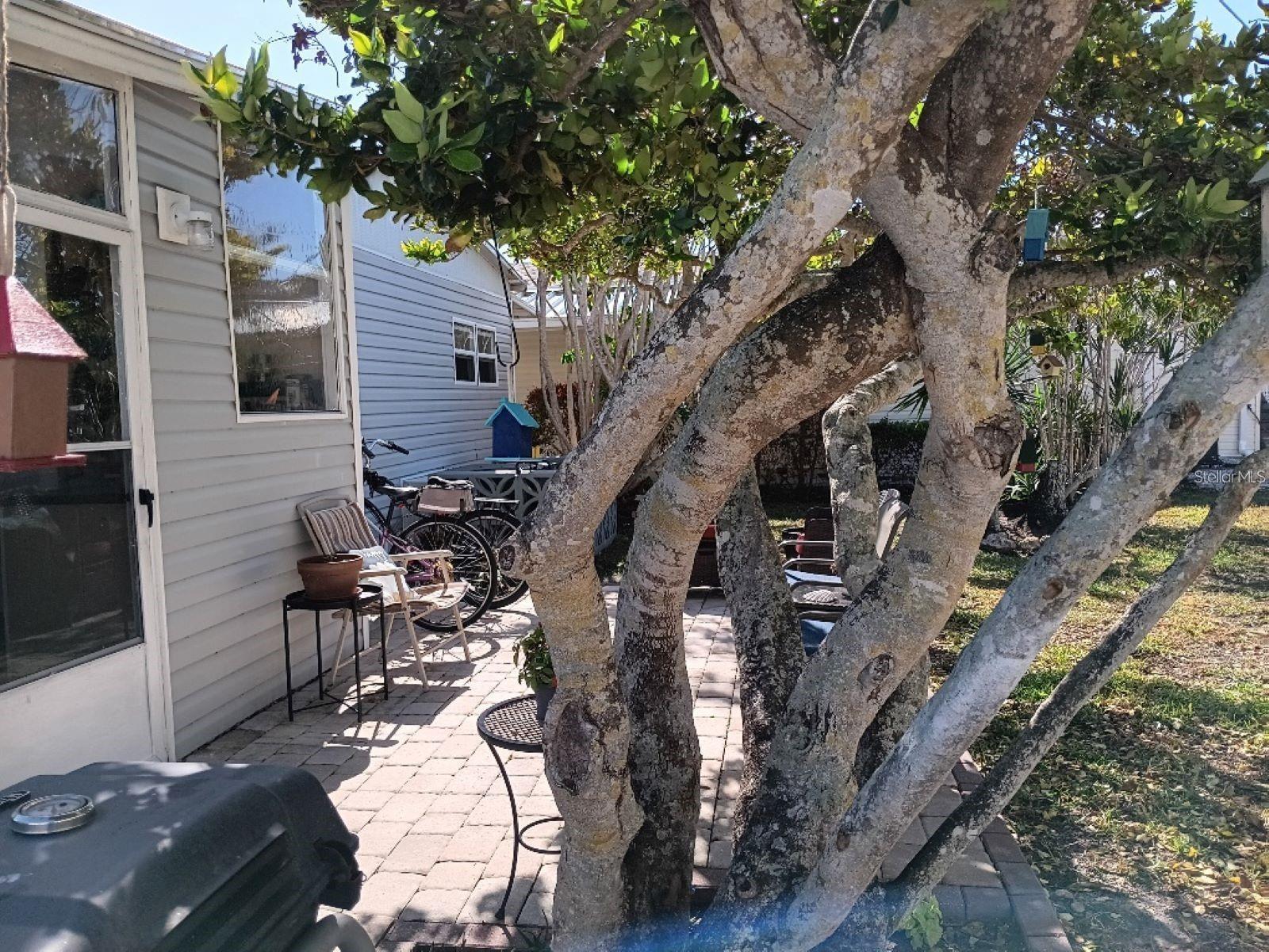 COUNTRY CLUB ESTATES - Residential