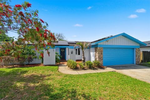 2816 RUSTIC OAKS DRIVE PALM HARBOR FL 34684