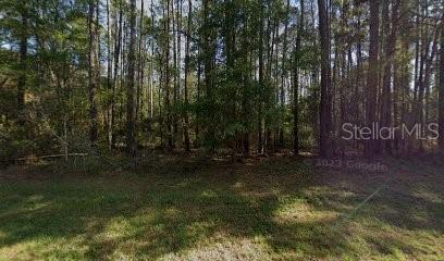Welcome to 9261 N Athenia Drive, Citrus Springs, FL 34434 — an excellent 80x127x90x128 ft homesite in the heart of one of Citrus County’s fastest-growing communities. Future homeowners will enjoy no mandatory HOA and the peace of mind of a homes-only deed-restricted community (site-built homes only, no manufactured).
This parcel sits dry in Flood Zone X, with paved road access and Duke Energy electric service nearby. The lot will require onsite well water and septic system, typical for Citrus Springs, with support from the Citrus County Water & Sewer District for resource information. Build at your own pace — there are no time limits to build, and you can choose your own builder.
Citrus Springs is known for its community amenities, including a library, tennis courts, ball fields, and direct access to the 46-mile Withlacoochee State Trail for biking and hiking. Just minutes away, you’ll find Rainbow Springs State Park and Rainbow River, perfect for kayaking, tubing, and swimming in crystal-clear spring water. Shopping, medical offices, and dining in Dunnellon are close by, with easy commutes to Ocala, Crystal River, and the Gulf Coast.
Whether you’re ready to break ground now or want to secure a solid investment for the future, this lot offers the ideal combination of location, utilities, and Florida lifestyle.
*BONUS: Ask about 2 more available lots on the SAME STREET and 3 other lots in this area — ask about package pricing for multiple parcels!
CALL today and turn opportunity into reality!