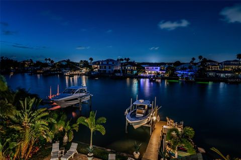 A home in TREASURE ISLAND