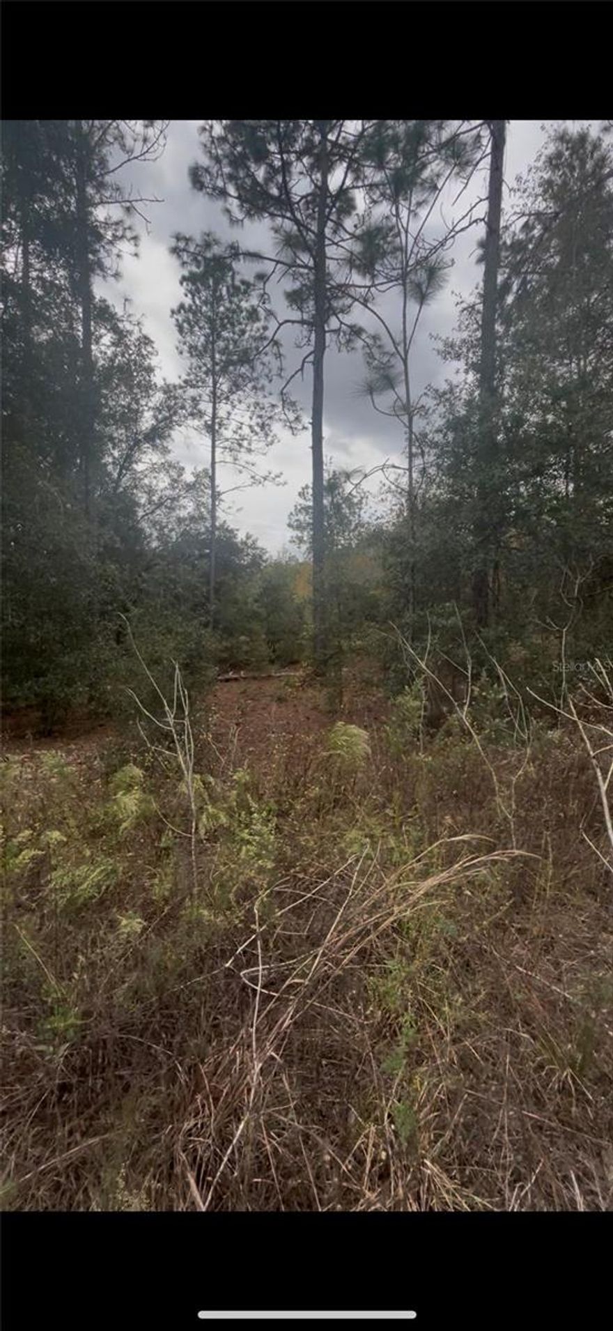 Build your Florida dream just minutes from Rainbow Springs State Park! This vacant parcel offers a great opportunity for a custom home or future investment in a growing area. Enjoy nearby natural springs, kayaking, hiking trails, and outdoor recreation while still having convenient access to shopping, dining, and major roadways. No HOA. Bring your builder and explore the possibilities.