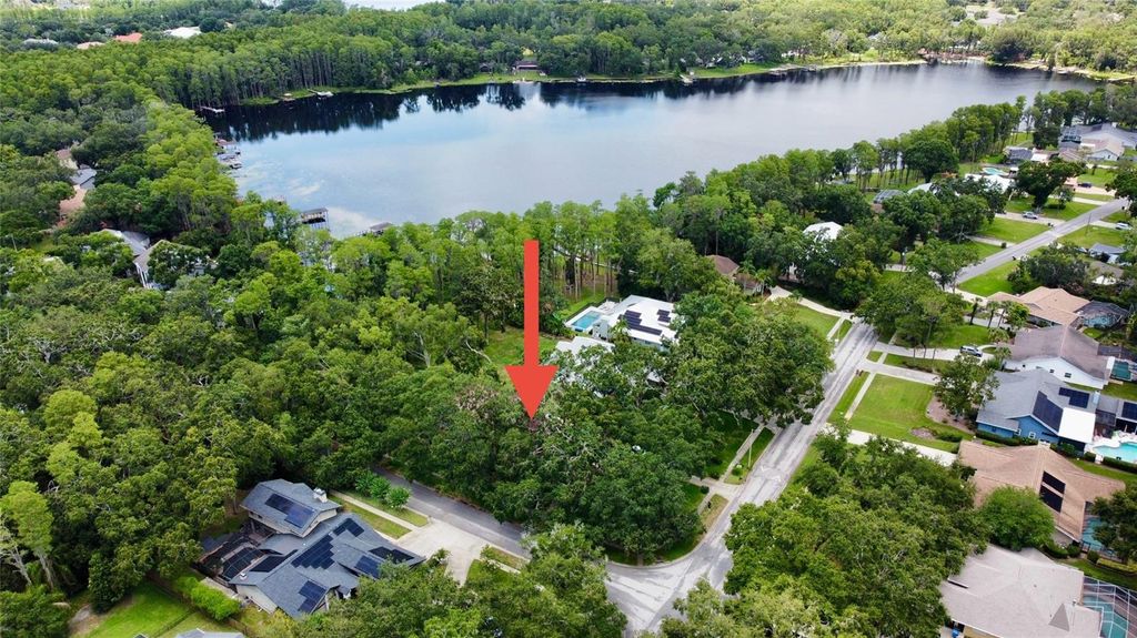 Photo of 16006 Armistead Lane, Odessa, FL 33556 (MLS # TB8453718)