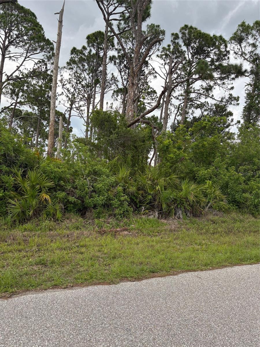 ***Oversized Double Lot located just 9.9 miles from the pristine shores of Manasota Key Beach***
Perfect for your dream home or investment property***City water and sewer ***