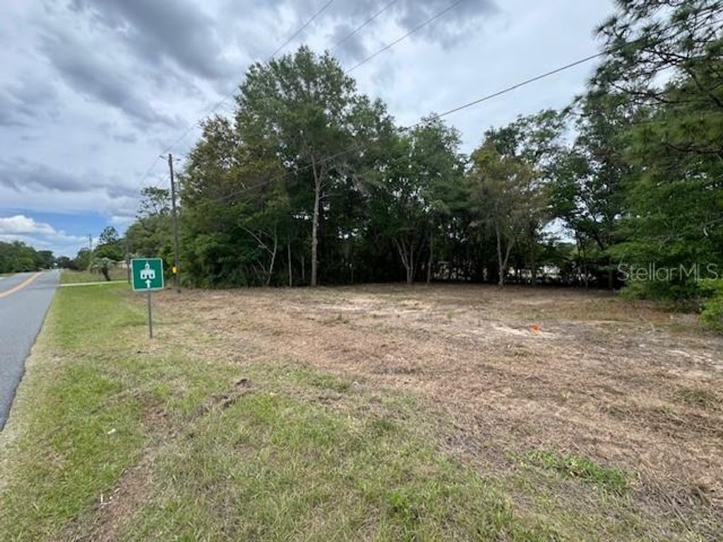 Photo of Tbd SW Beach Boulevard, Dunnellon, FL 34431 (MLS # G5111502)