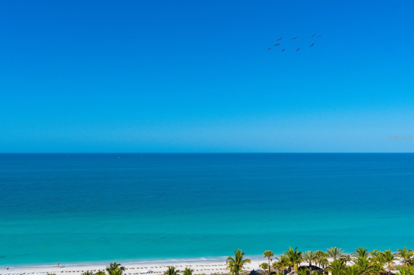 THE BEACH RESIDENCES - Residential