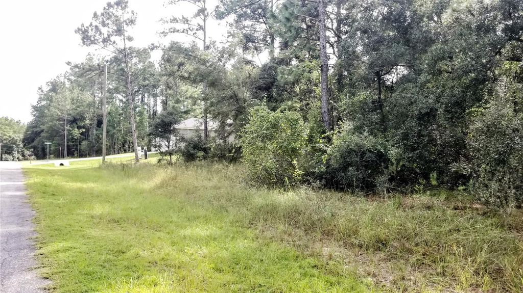 Photo of 8844 N Lily Drive, Citrus Springs, FL 34434 (MLS # OM701940)