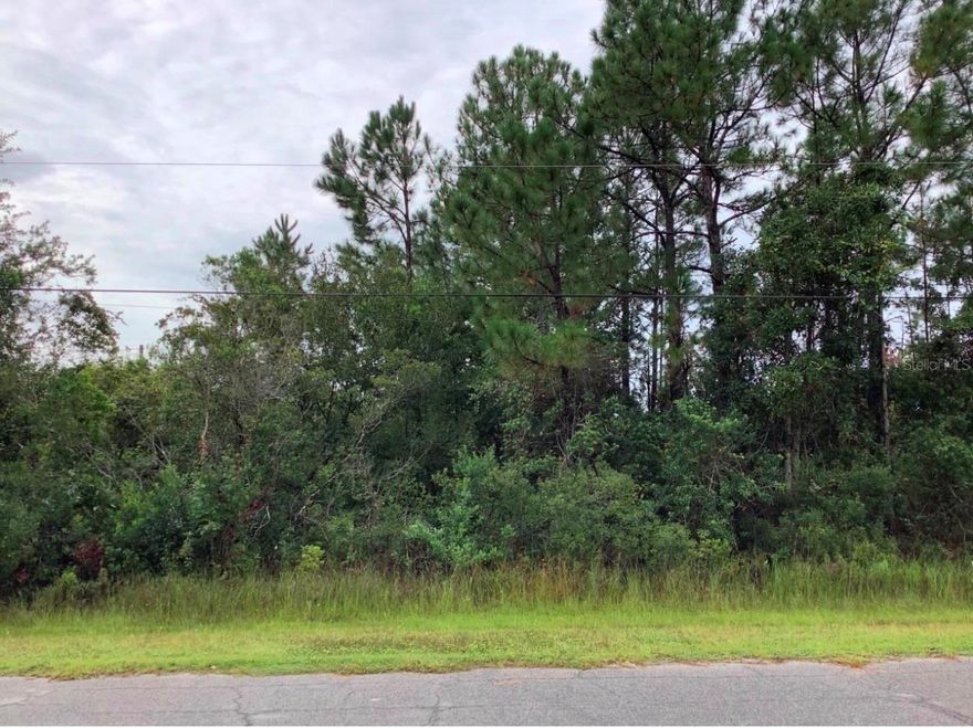 Private 1.03-acre lot in the growing community of Wedgefield (Cape Orlando Estates)—perfect for building your dream home or investing. Enjoy a peaceful, spacious setting with convenient access to SR 528, Orlando International Airport, Lake Nona, UCF, Downtown Orlando, and the beaches. Community features include a K-8 school, golf course, parks, and equestrian trails, with nearby Hal Scott Preserve offering extensive outdoor recreation.