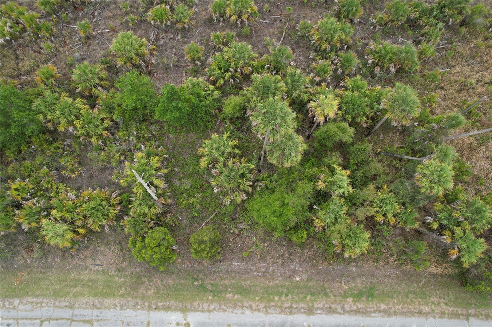 PORT CHARLOTTE SUB 46 - Land