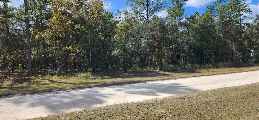 Oversized 1.29 acre Residential building lot, sits High at 110-100 FT. NOT in a  Flood zone. Rolling Hills does not have  an HOA fee. Site built homes,  no mobile homes. County maintains the road. Property will require the installation of a  well and septic system. RV's ,Workshops and Boat garages are welcome. Located in a country atmosphere surround by horse farms and Estate Homes. 15 minutes to Rainbow Springs state park and the Rainbow River  located in Dunnellon.  Only 15 minutes to Ocala  and for shopping , medical and the new World Equestrian Center. There are  numerous Golf courses in either town. Only 1 hour to the Gulf,  Cedar Key or  Crystal River.  They aren't making anymore land in Florida, 1 acre lots are very hard to find especially without FEES. No restrictions on time to build,  Select your own builder.  come to the Horse Capitol of the world and see why Ocala is so popular!