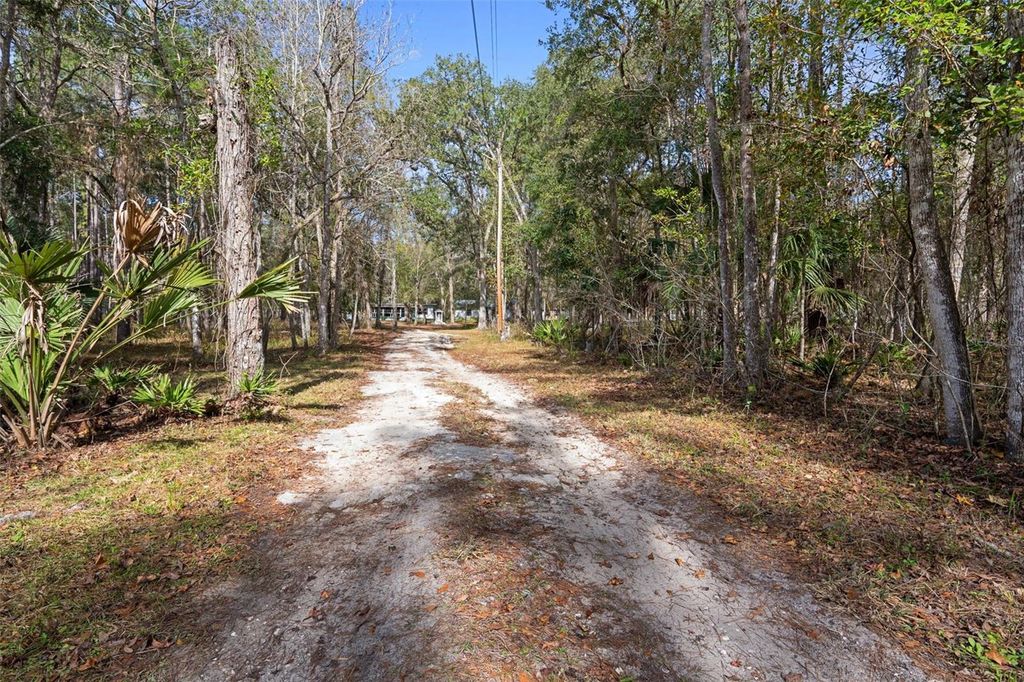 Photo of 22439 Bull Run Road, Brooksville, FL 34602 (MLS # W7882354)