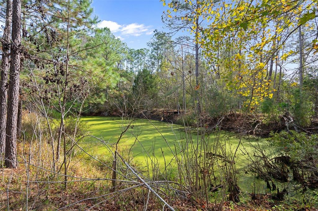 Photo of 22439 Bull Run Road, Brooksville, FL 34602 (MLS # W7882354)
