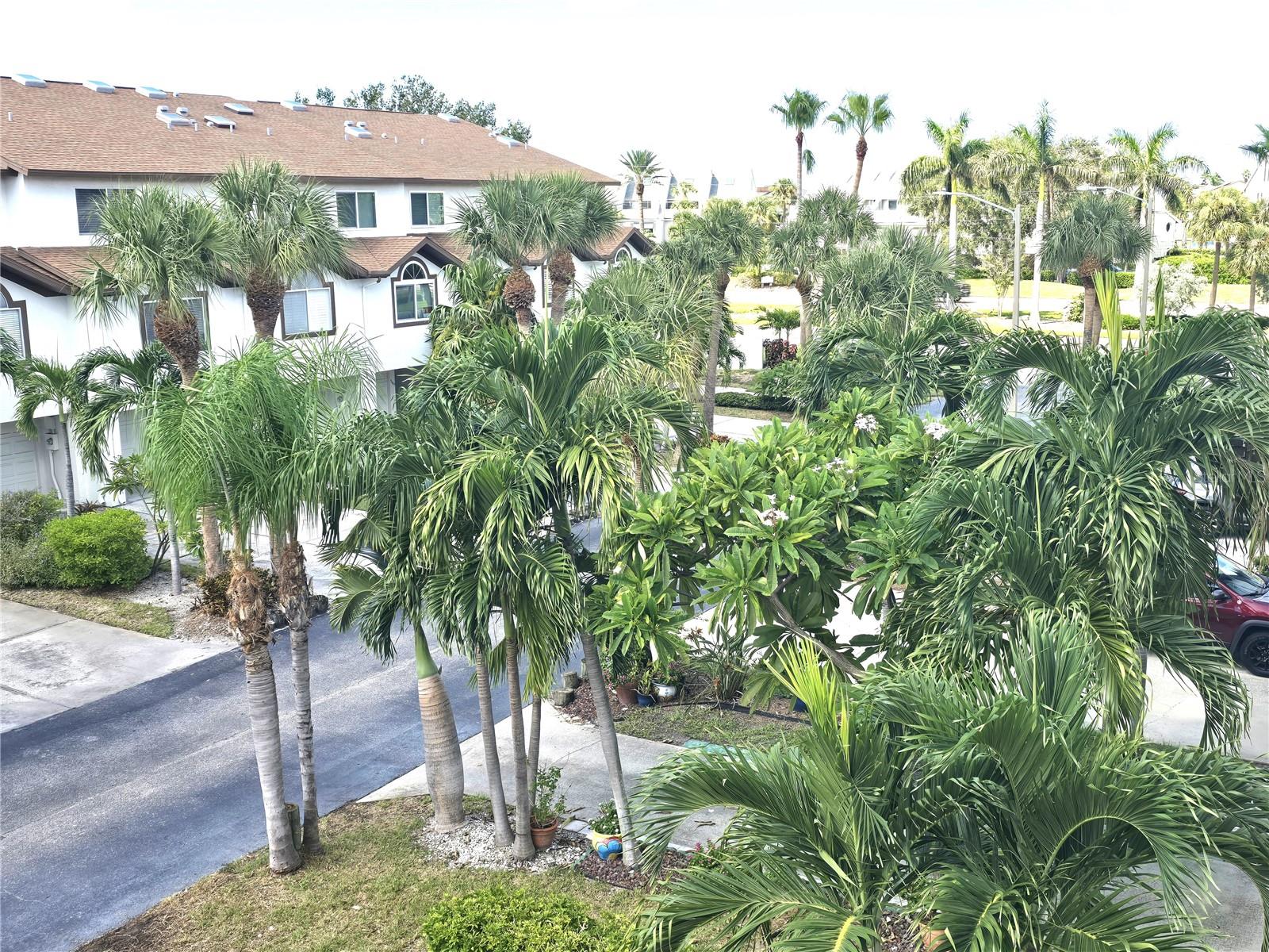 PALMS OF TIERRA - Residential