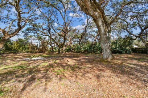 A home in ZEPHYRHILLS