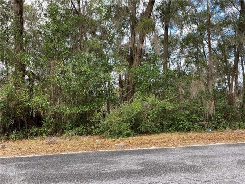 xxx NW 27TH AVENUE NW CITRA FL 32113