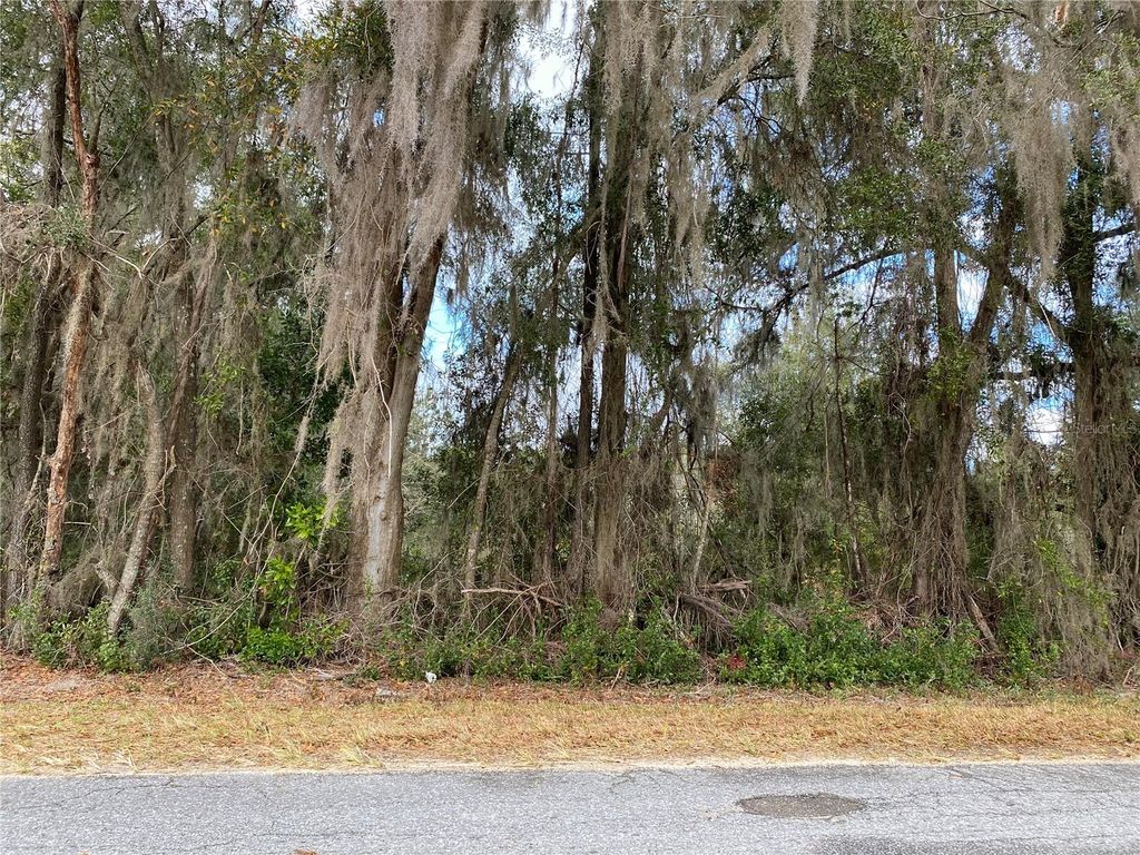 Photo of Xxx NW 27th Avenue NW, Citra, FL 32113 (MLS # OM717436)