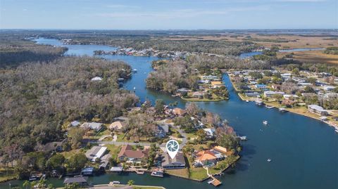 Tiny photo for 4235 S Purslane Drive, Homosassa, FL 34448 (MLS # TB8462813)