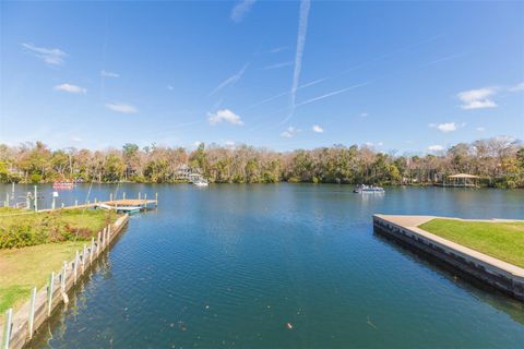 Tiny photo for 4235 S Purslane Drive, Homosassa, FL 34448 (MLS # TB8462813)