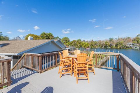 Tiny photo for 4235 S Purslane Drive, Homosassa, FL 34448 (MLS # TB8462813)