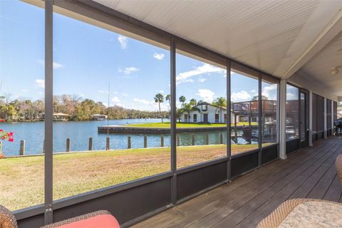 Tiny photo for 4235 S Purslane Drive, Homosassa, FL 34448 (MLS # TB8462813)