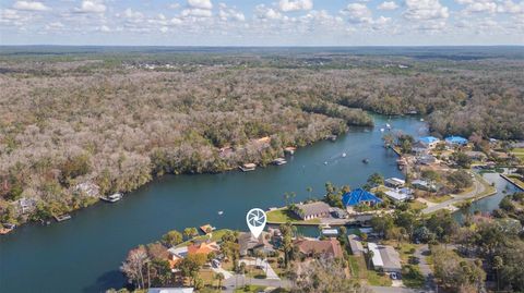 Tiny photo for 4235 S Purslane Drive, Homosassa, FL 34448 (MLS # TB8462813)