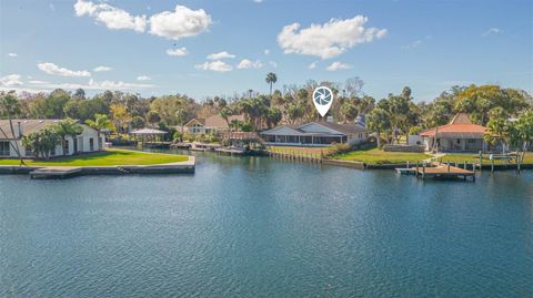 Tiny photo for 4235 S Purslane Drive, Homosassa, FL 34448 (MLS # TB8462813)