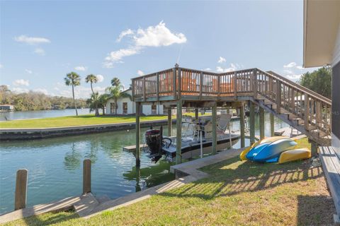 Tiny photo for 4235 S Purslane Drive, Homosassa, FL 34448 (MLS # TB8462813)