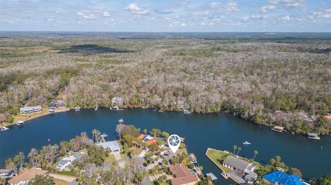 Tiny photo for 4235 S Purslane Drive, Homosassa, FL 34448 (MLS # TB8462813)
