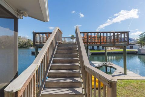 Tiny photo for 4235 S Purslane Drive, Homosassa, FL 34448 (MLS # TB8462813)