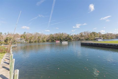 Tiny photo for 4235 S Purslane Drive, Homosassa, FL 34448 (MLS # TB8462813)