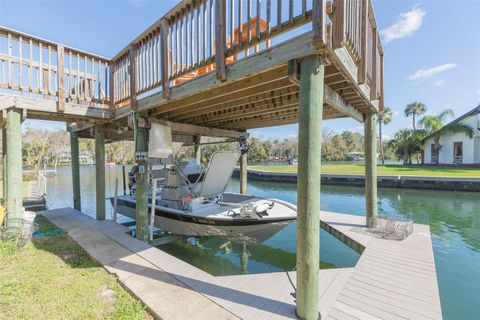 Tiny photo for 4235 S Purslane Drive, Homosassa, FL 34448 (MLS # TB8462813)
