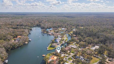 Tiny photo for 4235 S Purslane Drive, Homosassa, FL 34448 (MLS # TB8462813)