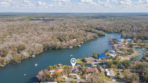 Tiny photo for 4235 S Purslane Drive, Homosassa, FL 34448 (MLS # TB8462813)