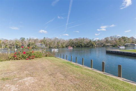 Tiny photo for 4235 S Purslane Drive, Homosassa, FL 34448 (MLS # TB8462813)