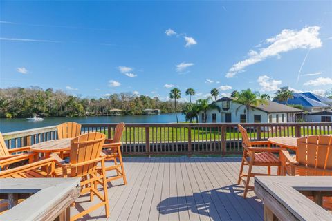Tiny photo for 4235 S Purslane Drive, Homosassa, FL 34448 (MLS # TB8462813)