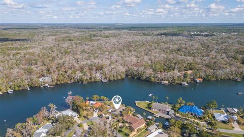 Tiny photo for 4235 S Purslane Drive, Homosassa, FL 34448 (MLS # TB8462813)
