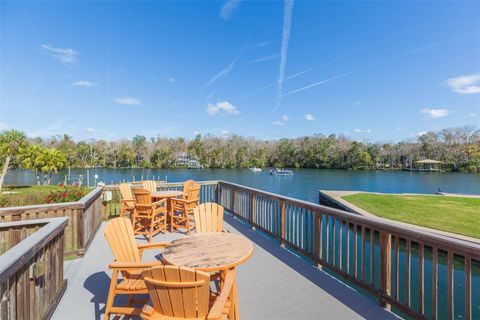 Tiny photo for 4235 S Purslane Drive, Homosassa, FL 34448 (MLS # TB8462813)