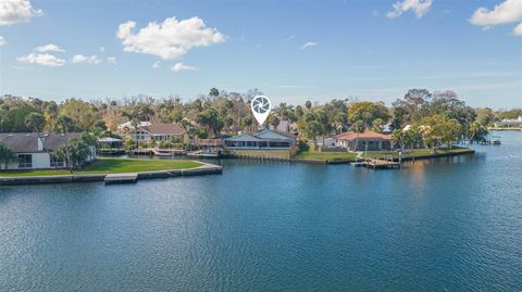 Tiny photo for 4235 S Purslane Drive, Homosassa, FL 34448 (MLS # TB8462813)