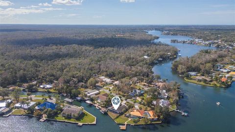Tiny photo for 4235 S Purslane Drive, Homosassa, FL 34448 (MLS # TB8462813)