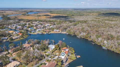 Tiny photo for 4235 S Purslane Drive, Homosassa, FL 34448 (MLS # TB8462813)